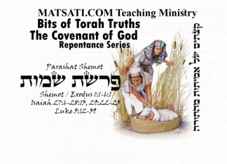 Bits of Torah Truths, Parashat Shemot, פרשת שמות, The Pretense of Halfheartedness