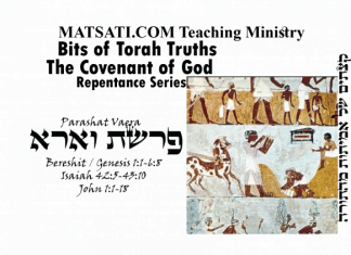 Bits of Torah Truths, Parashat Va’era, פרשת וארא,The Lord wants to use You in the midst of Your brokenness and Imperfection