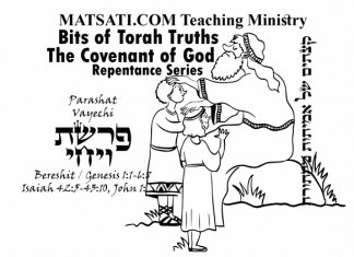 Bits of Torah Truths, Parashat Vayechi, פרשת ויגש, Walking with God an Activity for a Select Few?