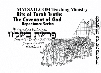 Bits of Torah Truths, Parashat Beshalach, פרשת בשלח, Trusting the Lord in Our most Desperate Times