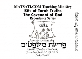 Bits of Torah Truths, Parashat Mishpatim,פרשת משפטים , How Slavery Relates to Us Today