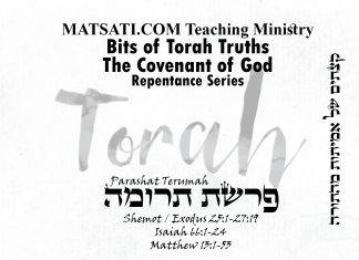 Bits of Torah Truths, Parashat Terumah, פרשת תרומה, Who we are made to be in the Messiah