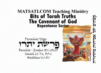 Bits of Torah Truths, Parashat Yitro, פרשת יתרו, What does it mean to Consecrate Yourselves?