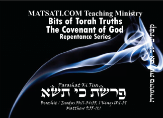 Bits of Torah Truths, Parashat Ki Tisa, פרשת כי תשא, What the Sanctuary Incense can Teach us Today