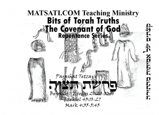 Bits of Torah Truths, פרשת תצוה, Parashat Tetzaveh, To Live Our Loves as a Holy People before a Holy God