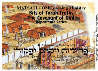 Bits of Torah Truths, Parashat Vayak’hel/Pekudei, פרשיות ויקהל-פקודי, What is the Meaning of Mixed Threads?
