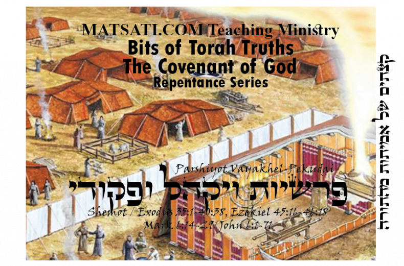 Bits of Torah Truths, Parashat Vayak’hel/Pekudei, פרשיות ויקהל-פקודי, What is the Meaning of Mixed Threads?