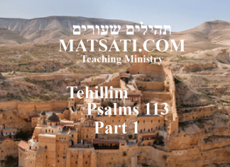 Tehillim / Psalms 113, ספר תהילים קיג, Part 1, The Lord Raises Us up to be Leaders
