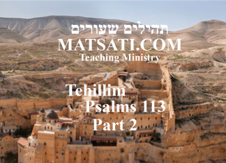 Tehillim / Psalms 113, ספר תהילים קיג, Part 2, The Lord Raises Us up to be Leaders