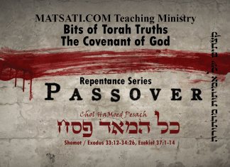 Bits of Torah Truths, Chol HaMoed Pesach, כל המאד פסח, The Power of Remembering