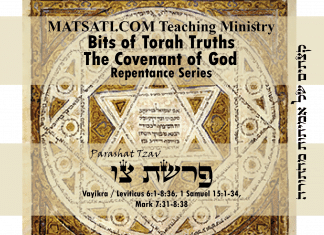 Bits of Torah Truths, Parashat Tzav, פרשת צו, The Torah causes us to Seek God’s Anointed One