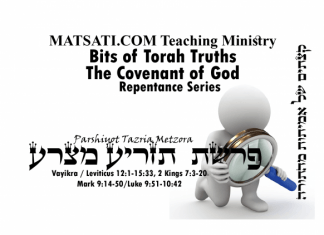 Bits of Torah Truths, Parshiyot Tazria and Metzora, פרשת תזריע מצרע, The Call to Self Inspection