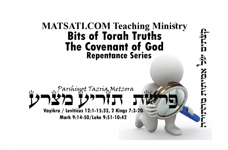 Bits of Torah Truths, Parshiyot Tazria and Metzora, פרשת תזריע מצרע, The Call to Self Inspection