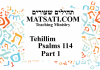 Tehillim / Psalms 114, ספר תהילים קיד, Do not be a People of Strange Language
