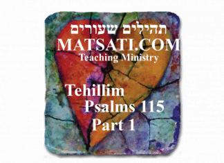 Tehillim / Psalms 115, ספר תהילים קטו, You will become the Idol you set up in your heart