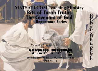 Bits of Torah Truths, Parashat Shemini,פרשת שמיני, For every Door that You Enter there is a Choice