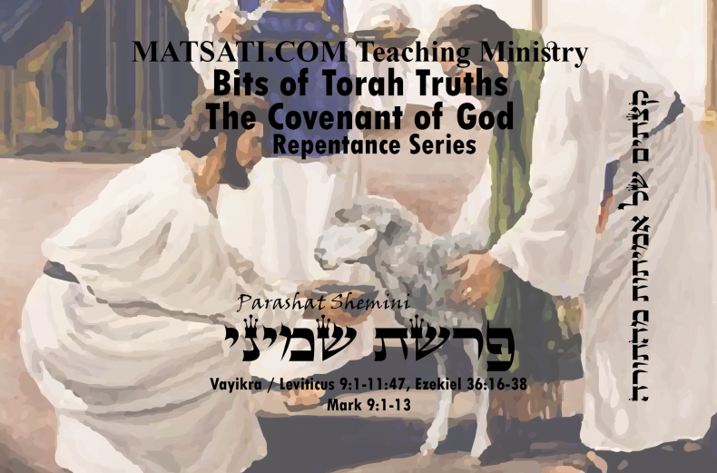 Bits of Torah Truths, Parashat Shemini,פרשת שמיני, For every Door that You Enter there is a Choice