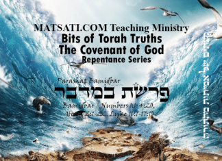 Bits for Torah Truths, Parashat Bamidbar, פרשת במדבר, Moving Forward and taking a Leap of Faith