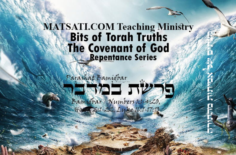 Bits for Torah Truths, Parashat Bamidbar, פרשת במדבר, Moving Forward and taking a Leap of Faith