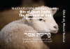 Bits of Torah Truths, פרשת אמר, Parashat Emor, The Origins of the Lamb of God