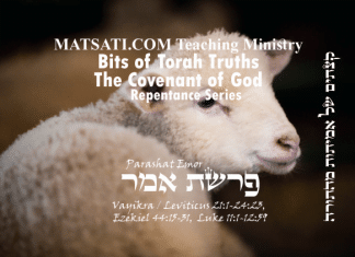 Bits of Torah Truths, פרשת אמר, Parashat Emor, The Origins of the Lamb of God