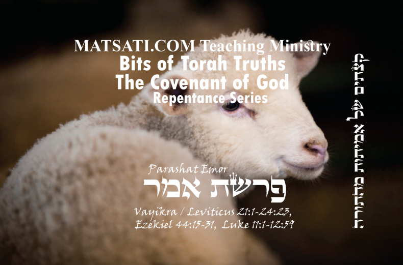 Bits of Torah Truths, פרשת אמר, Parashat Emor, The Origins of the Lamb of God