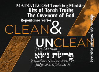Bits of Torah Truths, Parashat Naso, פרשת נשא, Pretending to be Holy on the Outside