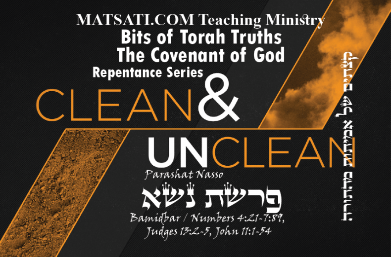 Bits of Torah Truths, Parashat Naso, פרשת נשא, Pretending to be Holy on the Outside
