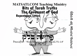 Bits of Torah Truths, Parashat Balak, פרשת בלק, An Act of Double Mindedness