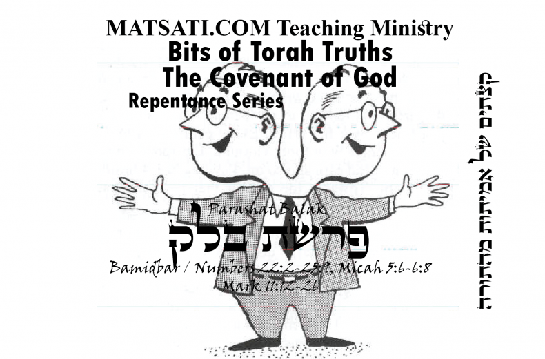 Bits of Torah Truths, Parashat Balak, פרשת בלק, An Act of Double Mindedness