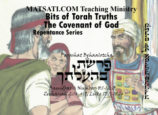 Bits of Torah Truths, Parashat Beha’alotcha, פרשת בהעלתך, Tzaraat, Idolatry, Lashon Hara, and Unrepentant Disobedience to God’s Word