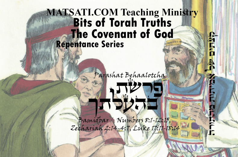 Bits of Torah Truths, Parashat Beha’alotcha, פרשת בהעלתך, Tzaraat, Idolatry, Lashon Hara, and Unrepentant Disobedience to God’s Word