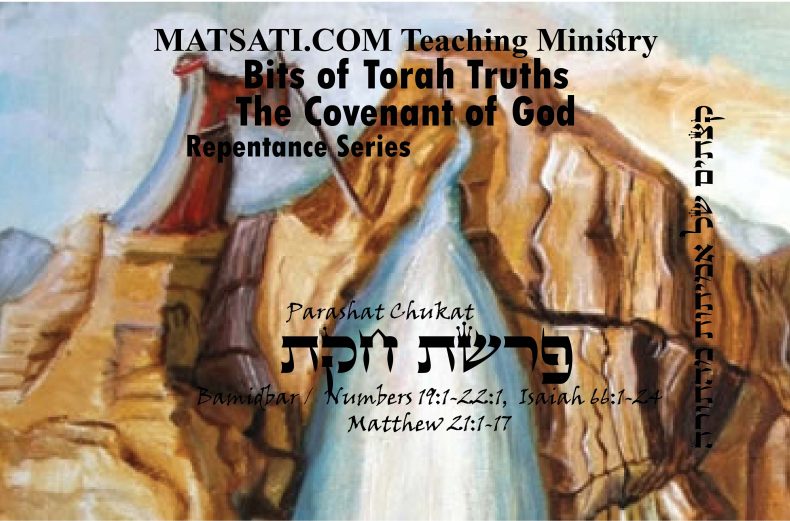 Bits of Torah Truths, Parashat Chukat, פרשת חקת, Is there a Requirement of the Law?