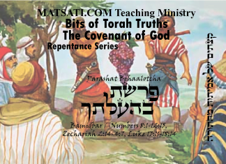 Bits of Torah Truths, Parashat Shelach Lecha, פרשת שלח לך, What is going on in the Lives of God’s People