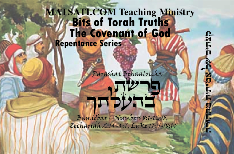 Bits of Torah Truths, Parashat Shelach Lecha, פרשת שלח לך, What is going on in the Lives of God’s People