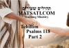 Tehillim / Psalms 118, ספר תהילים קיח, Part 2, Walking in the Mercy of God