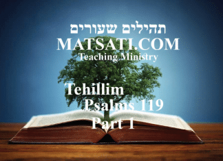 Tehillim / Psalms 119, ספר תהילים קיט, Part 1, Do You Believe in Something that is Contrary to Scripture?