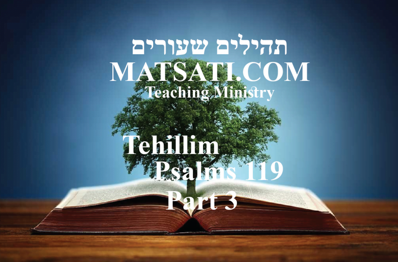 Tehillim / Psalms 119, ספר תהילים קיט, Part 3, Do We Believe in Something that is Contrary to Scripture?