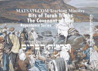 Bits of Torah Truths, פרשת דברים, Parashat Devarim, What is the Essential Requirement for us as His People?