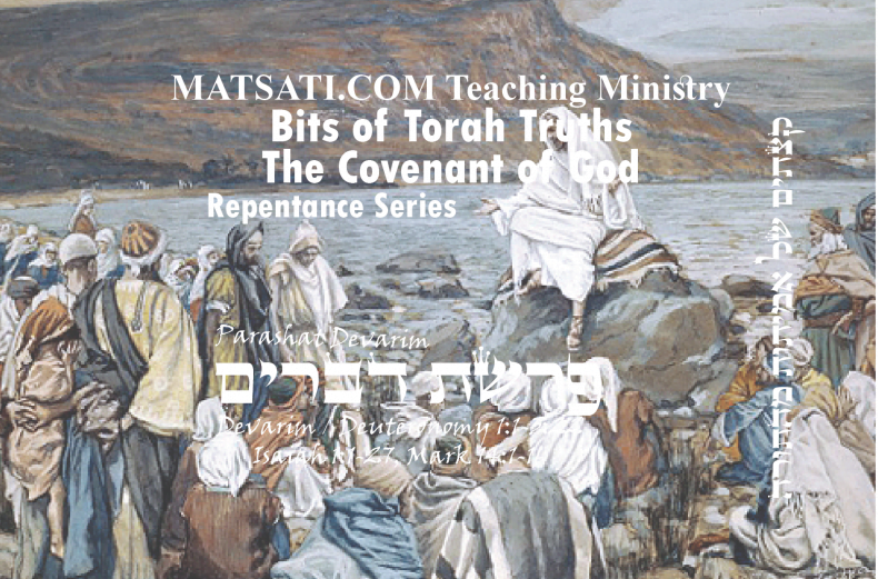 Bits of Torah Truths, פרשת דברים, Parashat Devarim, What is the Essential Requirement for us as His People?