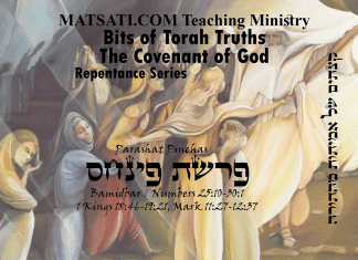 Bits of Torah Truths, פרשת פינחס, Parashat Pinchas, The Message from the Daughters of Zelophehad