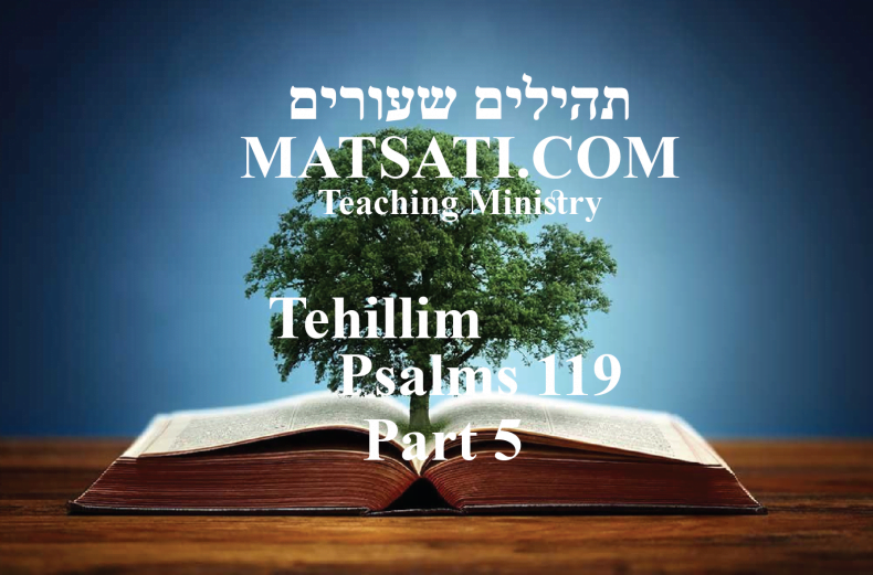 Tehillim / Psalms 119, ספר תהילים קיט, Part 5, Do We Believe in Something that is Contrary to Scripture?