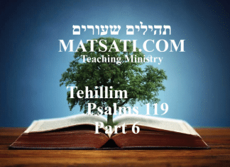 Tehillim / Psalms 119, ספר תהילים קיט, Part 6, Do We Believe in Something that is Contrary to Scripture?
