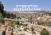 Tehillim / Psalms 120, ספר תהילים קכ, Part 2, There is always the opportunity for Repentance
