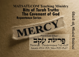 Bits of Torah Truths, פרשת עקב, Parashat Ekev, Love, Grace, and the Torah, What is not being taught in modern theologies
