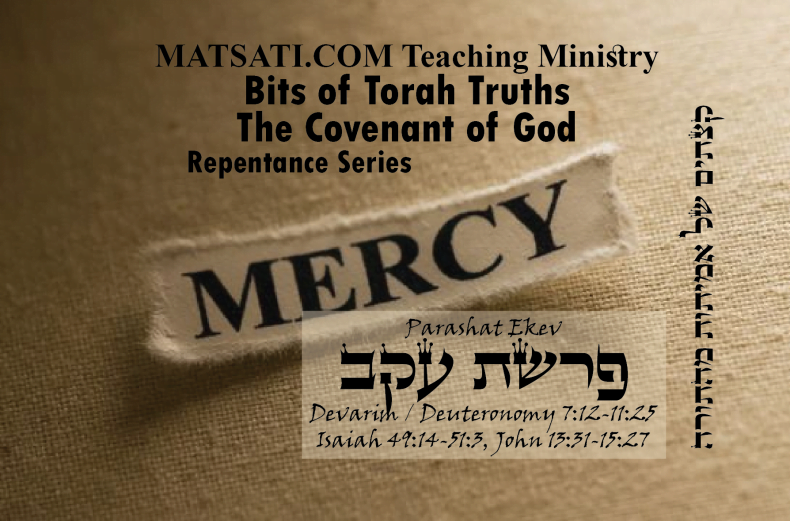 Bits of Torah Truths, פרשת עקב, Parashat Ekev, Love, Grace, and the Torah, What is not being taught in modern theologies