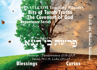 Bits of Torah Truths, פרשת כי תצא, Parashat Ki Tetze, A Case for Gentile Inclusion from the Torah