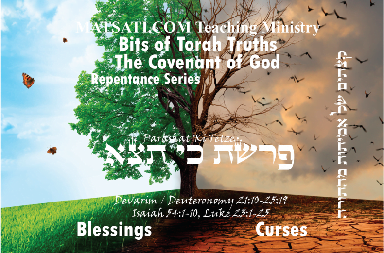 Bits of Torah Truths, פרשת כי תצא, Parashat Ki Tetze, A Case for Gentile Inclusion from the Torah