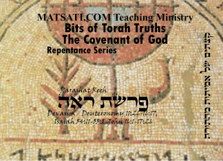 Bits of Torah Truths, פרשת ראה, Parashat Re’eh, Aiming toward the Goal of Our High Calling