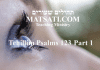 Tehillim / Psalms 123, ספר תהילים קכג, Part 1, Lifting our Eyes to the Lord God in Heaven
